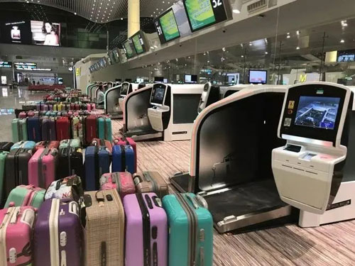 虎门港管委会行李托运